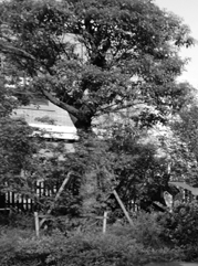 秦淮注册公司